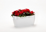Doppio Self-watering Box Doppio Self-watering Box